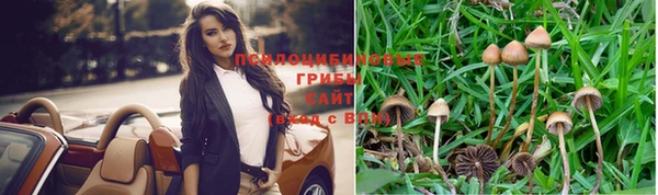 jwh Богородицк