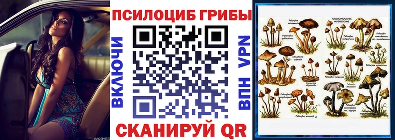 Псилоцибиновые грибы ЛСД hydra ССЫЛКА Медногорск